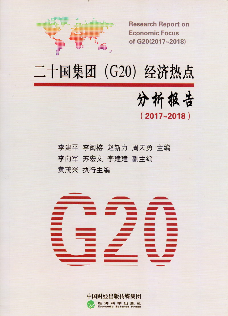 老屌插逼二十国集团（G20）经济热点分析报告（2017-2018）